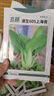 北蔬香菜種子苗老品種四季盆栽大葉芫荽陽(yáng)臺菜籽 大葉香菜籽種子600粒 曬單實(shí)拍圖