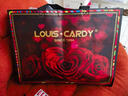 路易.卡迪（LOUIS.CARDY）單肩包女士軟皮優(yōu)雅大容量休閑logo壓紋手提斜挎包送女生生日禮物 綠色 曬單實(shí)拍圖
