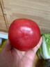 京鮮生 山東普羅旺斯西紅柿 凈重4.5斤 單果115g+ 沙瓤番茄 源頭直發(fā) 曬單實(shí)拍圖