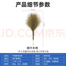 納福鳥(niǎo) 大掃把大掃帚掃院子掃馬路環(huán)衛學(xué)校庭院工廠(chǎng)車(chē)間專(zhuān)用家用4斤竹掃把新枝豪華款脫葉木柄（5把裝） 曬單實(shí)拍圖
