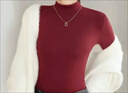 【巨厚】秋冬季女士半高領(lǐng)加絨加厚打底衫保暖內衣單上衣T恤 2309安可拉紅 紫絨 XL 曬單實(shí)拍圖
