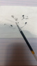 晨光按動(dòng)中性筆0.5mm碳素簽字筆水性圓珠筆K35學(xué)生考試用辦公用品支持定制 【免費刻字】黑色6支+贈20支黑色筆芯 曬單實(shí)拍圖