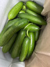 山東壽光水果黃瓜生吃脆新鮮荷蘭青瓜當季無(wú)刺小黃瓜源頭直發(fā) 精品水果黃瓜凈重 4.5斤 曬單實(shí)拍圖