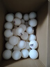 紅雙喜DHS乒乓球一星 40+賽頂ABS 1星訓練兵乓球120個(gè)實(shí)惠裝 白色 曬單實(shí)拍圖