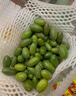 羊奶果鮮果新鮮當季云南特產(chǎn)酸甜應季時(shí)令罕見(jiàn)的孕婦水果 3斤順豐 1斤紅果，酸甜，送蘸料 曬單實(shí)拍圖