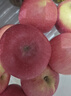洛川蘋(píng)果陜西延安紅富士時(shí)令蘋(píng)果水果禮盒禮品40個(gè)80mm果徑約9.5kg 40枚80 曬單實(shí)拍圖