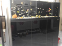 森森（SUNSUN）原生態(tài)溪流缸新款造景金魚(yú)缸客廳超白玻璃底濾魚(yú)缸包安裝 1.2米大觀(guān)賞面47寬 超白底濾 黑色 基礎款 曬單實(shí)拍圖