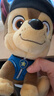 汪汪隊立大功（PAW PATROL）狗狗巡邏隊毛絨玩具男女孩可愛(ài)小狗玩偶公仔兒童節禮品生日禮物 汪汪隊毛絨-15-18cm小號阿奇 cm 曬單實(shí)拍圖