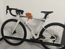 喜德盛公路自行車(chē)AD300油碟UCI車(chē)架2x10速中空一體牙盤(pán)桶軸破風(fēng)車(chē) 白蛇 510mm（適合身高170-180cm） 曬單實(shí)拍圖