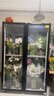 致濤鮮花保鮮柜鮮花柜商用冷柜鮮花冰柜立式節能冰箱專(zhuān)業(yè)養花設備智能商用冷藏展示柜 1.26*0.6*2.01米免倒水雙門(mén)經(jīng)典款風(fēng)冷 曬單實(shí)拍圖