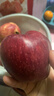 甘肅天水花牛蘋(píng)果整箱當季新鮮紅蛇果粉面脆甜多汁生鮮A5 帶箱9斤  果徑75mm以上 曬單實(shí)拍圖