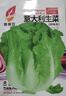 意大利耐抽苔生菜種子耐熱耐寒全年種春夏秋季四季陽(yáng)臺蔬菜種籽孑 意大利生菜種子 1包約1000粒 曬單實(shí)拍圖