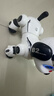 索迪機器狗智能ai機器人嬰幼兒童寶寶玩具男女孩生日1-3周2歲新年禮物 曬單實(shí)拍圖