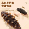 上品堂大連原產(chǎn)地有機干海參100g 20-24只 底播遼刺參海參干貨自食送禮 曬單實(shí)拍圖
