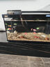 森森金麟超白玻璃魚(yú)缸客廳小型懶人魚(yú)缸LE-480B+增氧泵套餐 曬單實(shí)拍圖