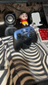 蓋世小雞（GAMESIR）超新星無(wú)線(xiàn)switch2游戲手柄帶底座 手機安卓PC蘋(píng)果Steam電腦NSpro電視體感有線(xiàn)藍牙寶可夢(mèng)ZA宏編程 曬單實(shí)拍圖