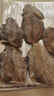 尚致鰈魚(yú)身碟魚(yú)格陵蘭比目魚(yú)深海魚(yú)中段鴉片魚(yú)整條鰈魚(yú)頭海鮮禮盒 【超大無(wú)冰】3-4條 2500g 鰈魚(yú)身 曬單實(shí)拍圖