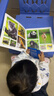 【點(diǎn)讀版】小寶貝早教啟蒙全書(shū)全套8冊 0-3-6歲幼兒園兒童看圖識字動(dòng)物認知百科全書(shū)汽車(chē)飛機認知圖畫(huà)書(shū)唐詩(shī)兒歌中英雙語(yǔ)繪本 小寶貝早教啟蒙全書(shū)：動(dòng)物大世界 曬單實(shí)拍圖