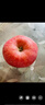 洛川蘋(píng)果（luochuanapple）【順豐】正宗陜西延安洛川蘋(píng)果陜西蘋(píng)果產(chǎn)地直發(fā)脆甜多汁能帶皮吃 24枚95mm 特大果甄選 鐵粉必選 曬單實(shí)拍圖