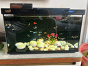 獨寵你森森同款超白魚(yú)缸小型免換水生態(tài)魚(yú)缸一體缸自循環(huán)自動(dòng)喂食LE480B 曬單實(shí)拍圖