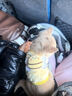 小奶狗幼犬貓咪寵物狗狗秋冬保暖衣服蜜蜂泰迪博美英短無(wú)毛貓用品 奶狗粉蜜蜂 XS【建議2-3斤寵物寶寶】 曬單實(shí)拍圖