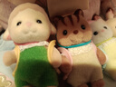 森貝兒家族寶寶系列合集 玩偶女孩兒童過(guò)家家玩具小號玩偶手辦擺件生日禮物 巧克力兔寶寶SF5405 曬單實(shí)拍圖