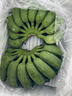 新鮮現摘香蕉小米蕉青皮發(fā)貨放熟吃新鮮水果 小米蕉 5斤 曬單實(shí)拍圖