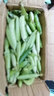 四川新鮮甜豌豆農家自種新鮮蔬菜豆角豆米現摘現發(fā)豌豆莢 凈重2斤 曬單實(shí)拍圖