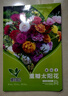 重瓣太陽(yáng)花種子死不了松葉牡丹種籽庭院陽(yáng)臺室內外陽(yáng)臺盆栽春播 重瓣太陽(yáng)花 1包（到手約10000粒左右） 曬單實(shí)拍圖