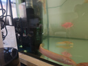 魚(yú)呼吸魚(yú)缸底吸變頻潛水泵 YHX-057-8W 假山池低循環(huán)抽水小型吸糞器 曬單實(shí)拍圖