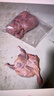 魯爺爺的農場(chǎng)現殺大鵪鶉農家散養生鮮現殺鵪鶉肉新鮮冷凍鵪鶉 散養母鵪鶉凈重約12斤 共40只 曬單實(shí)拍圖