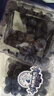 京鮮生 云南藍莓18mm+2盒+丹東草莓1斤+智利車(chē)厘子3J級2斤 新鮮水果 曬單實(shí)拍圖