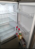 海爾冰箱182升雙門(mén)兩門(mén)冷藏冷凍迷你節能七檔調溫雙門(mén)雙溫區租房小型家用BCD-182LHC2E0YH以舊換新 曬單實(shí)拍圖