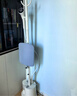 美的（Midea）【帶熨衣板】掛燙機家用立式熨燙機/便攜大功率掛式手持電熨斗/小型服裝店商用/年貨節禮物YGJ18DB 曬單實(shí)拍圖