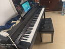 特倫斯（Terence）AI智慧鋼琴立式88鍵重錘電鋼琴智能自學(xué)電子鋼琴新手入門(mén) AIP-713自學(xué)鋼琴+2年VIP 曬單實(shí)拍圖