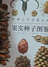 【無(wú)窮小亮推薦】世界上不可思議的果實(shí)種子圖鑒（贈種子水晶吊墜） 曬單實(shí)拍圖