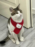 SUOLUOMEN貓咪新年圍巾寵物圍脖小狗過(guò)年紅色裝飾衣服貓項圈編織口水巾 全長(cháng)45厘米【針織圍巾哈基米小熊】 哈基米過(guò)年小圍巾 喵來(lái)運轉 曬單實(shí)拍圖