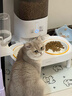 霍曼（Homerun）寵物智能自動(dòng)喂食器貓糧定時(shí)貓咪自動(dòng)投食機不銹鋼雙碗增高版 曬單實(shí)拍圖