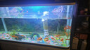迪普爾魚(yú)缸過(guò)濾器循環(huán)水泵小型氧氣泵過(guò)濾水泵小型內置增氧吸魚(yú)屎* 25W/2節長(cháng)濾桶【適用80cm以?xún)雀住?曬單實(shí)拍圖