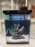 畫(huà)法幾何魚(yú)缸造景小型魚(yú)缸米家智能桌面魚(yú)缸專(zhuān)用沉木造景套餐 魚(yú)缸裝飾 蕨類(lèi)沉木造景+底砂套餐 曬單實(shí)拍圖