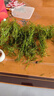 光彩年華印度小竹節竹節草水草植物魚(yú)缸水族箱造景綠菊蜈蚣草水榕活體真草 50多支竹節草 帶瓷環(huán) 曬單實(shí)拍圖