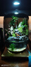 桌面創(chuàng  )意微景觀(guān)綠植diy擺件禮物客廳辦公室夜燈苔蘚盆栽植物盆景 山水間（養魚(yú)款）+木質(zhì)燈座 曬單實(shí)拍圖