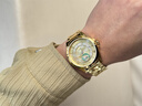 歐品客瑞士認證十大品牌手表男士全自動(dòng)機械表夜光防水真金翡翠男士手表 歐品客3320全金色款 免費刻字 終身質(zhì)保 41mm 終身質(zhì)保 曬單實(shí)拍圖