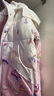 哈羅小黃鴨HAL.DUCK女童羽絨服2026新款?lèi)?ài)莎公主學(xué)生1-16歲中長(cháng)款大中小童外套棉襖冬 漸變粉星黛露 130 曬單實(shí)拍圖
