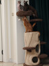 獸牌樹(shù)屋貓爬架大型貓樹(shù)貓窩一體實(shí)木貓抓柱小戶(hù)型貓架子豪華貓屋暖冬 樹(shù)屋貓爬架【經(jīng)典色】 曬單實(shí)拍圖