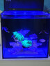 方小章背濾海水缸全套小丑魚(yú)珊瑚缸新手中小型客廳桌面方缸超白玻璃魚(yú)缸 HB400-標配+擋板 曬單實(shí)拍圖
