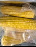 北緯媽咪黃糯玉米3.2斤（200g*8根）東北鮮甜糯玉米 黏粘玉米棒真空包裝 曬單實(shí)拍圖