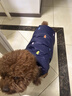 湯尼熊 TAWNEYBEAR狗狗羽絨服寵物衣服冬保暖雪納瑞比熊貓咪無(wú)袖貓咪泰迪馬甲外套 羽絨馬甲【刺繡小熊-藏青】 M丨背長(cháng)29胸圍44建議5-8斤 曬單實(shí)拍圖