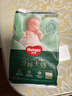 好奇（Huggies）小森林深睡大師系列紙尿褲試用裝NB4新生兒透氧防漏尿不濕 曬單實(shí)拍圖