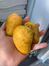南步海南小臺農芒果 當季小臺芒雞蛋芒非金煌甜心芒新鮮熱帶特產(chǎn)水果 凈重2.5斤 中果【單果80g+】需催熟 曬單實(shí)拍圖